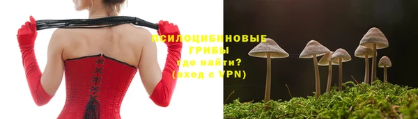 молекула духа Ельня