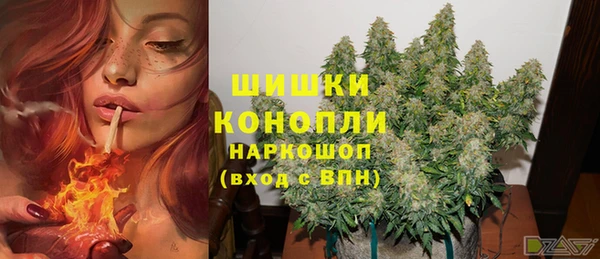 соль курить ск Заводоуковск