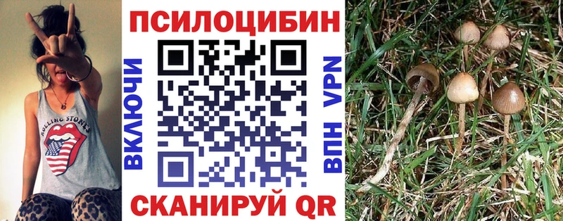 Псилоцибиновые грибы прущие грибы  наркошоп  Заводоуковск 
